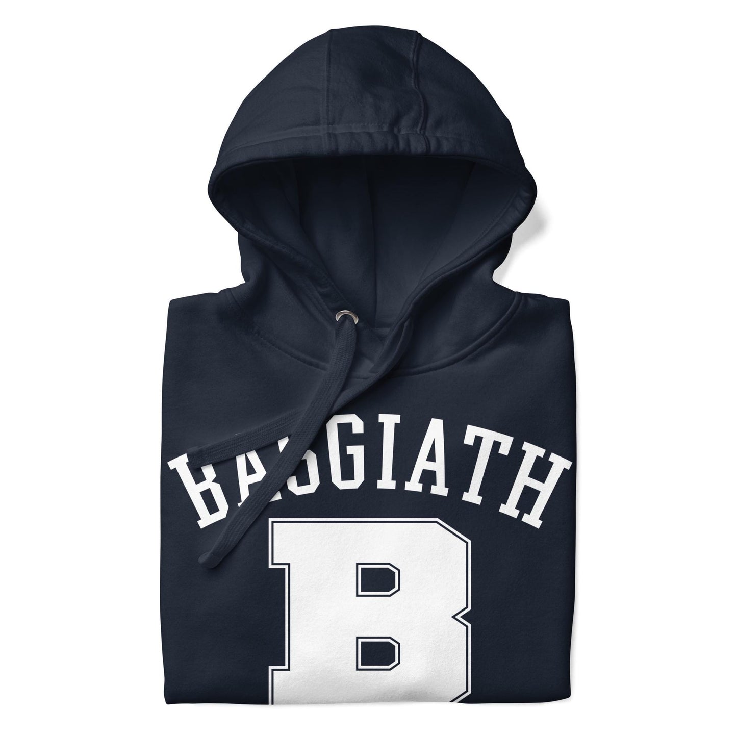 Basgiath War College Hoodie | Fourth Wing Dragon Riders